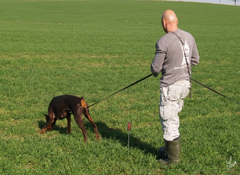 Training in Prague 3/2007